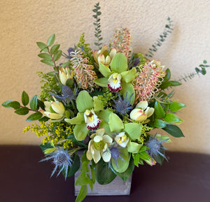 Grevillea