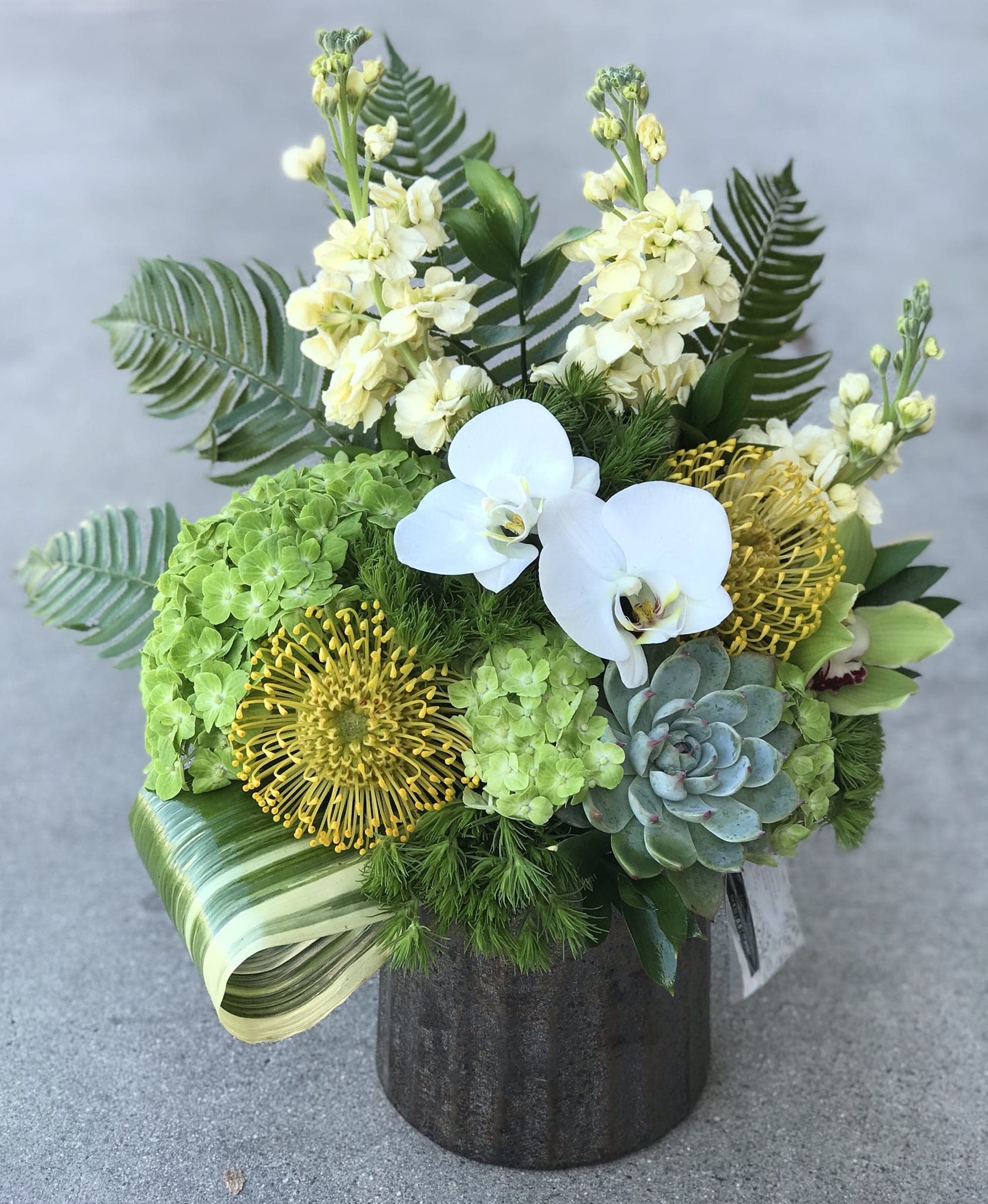 Pins And Blooms